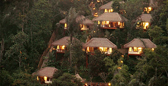 Nandini Bali Jungle Resort Ubud